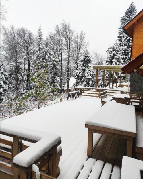 Prijeten Soncen Apartma V Objemu Pohorja Appartement Zgornje Hoce Buitenkant foto