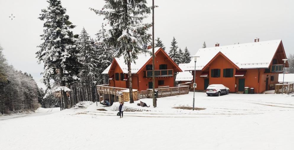 Prijeten Soncen Apartma V Objemu Pohorja Appartement Zgornje Hoce Buitenkant foto