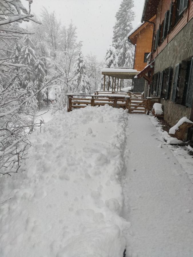 Prijeten Soncen Apartma V Objemu Pohorja Appartement Zgornje Hoce Buitenkant foto